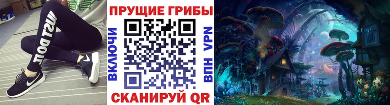 магазин продажи   Катав-Ивановск  Галлюциногенные грибы Cubensis 